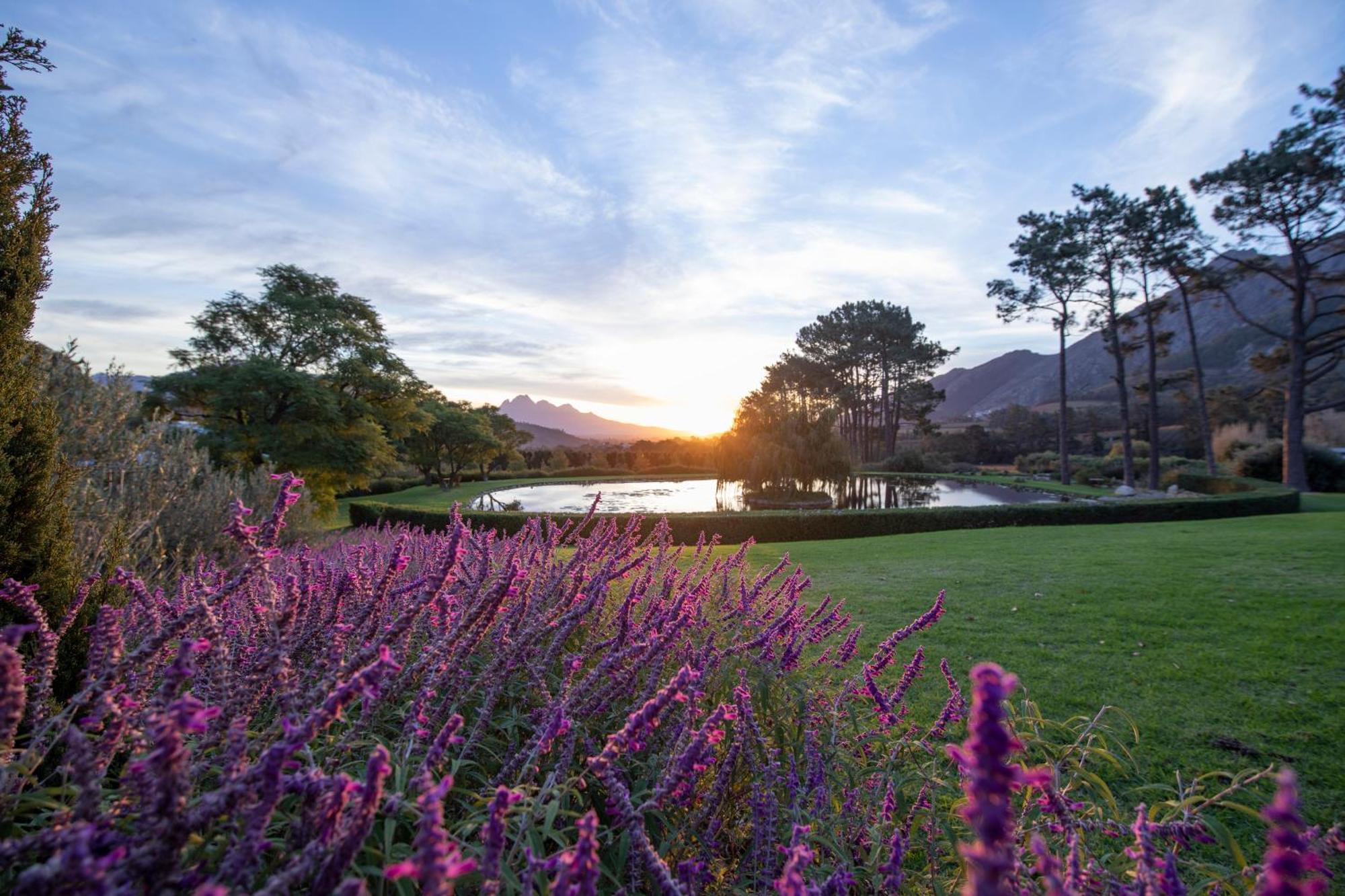 La Residence Franschhoek Eksteriør billede